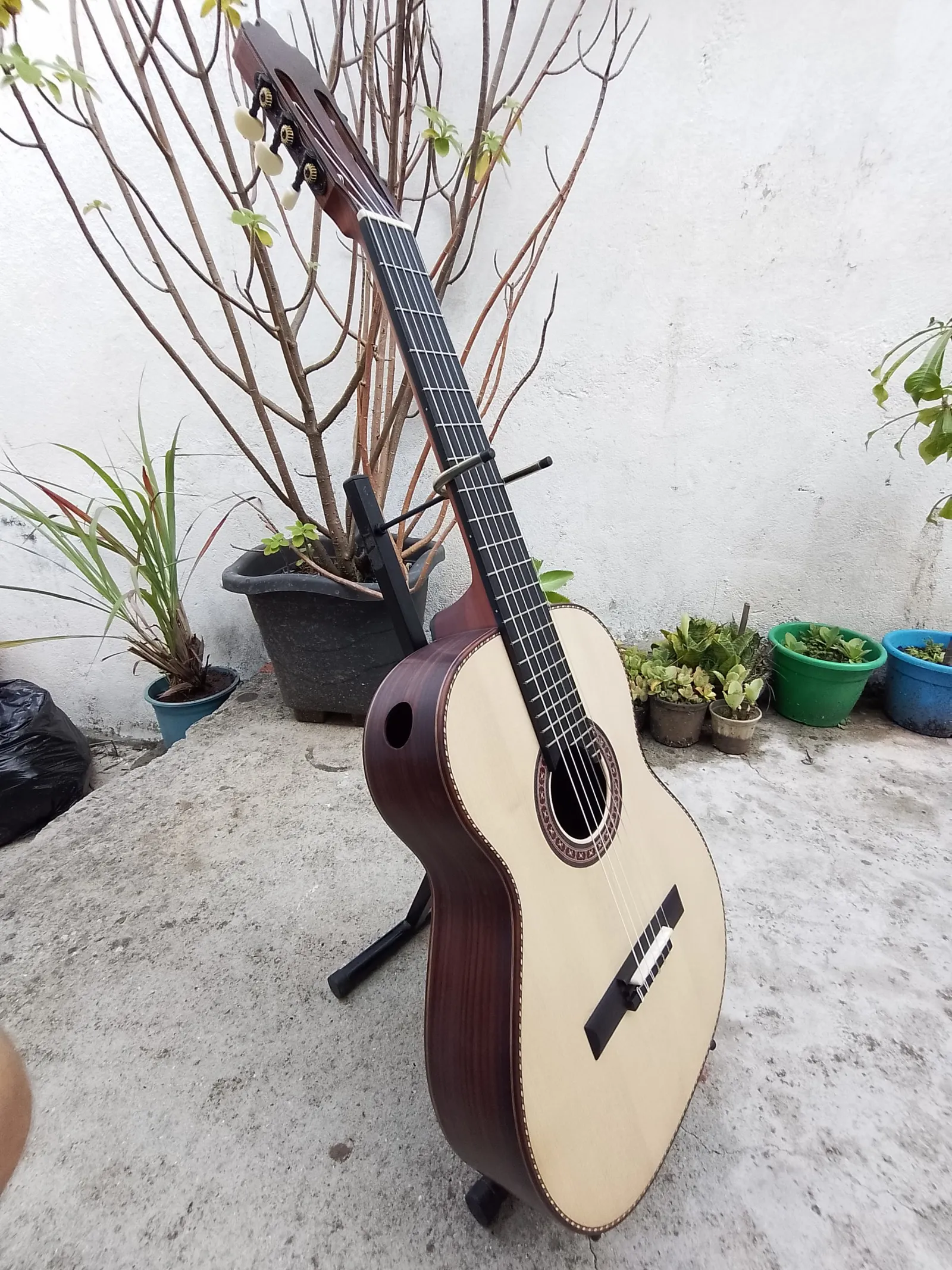 Violão Brandini artesanal em Jacarandá Indiano, detalhe do tampo
